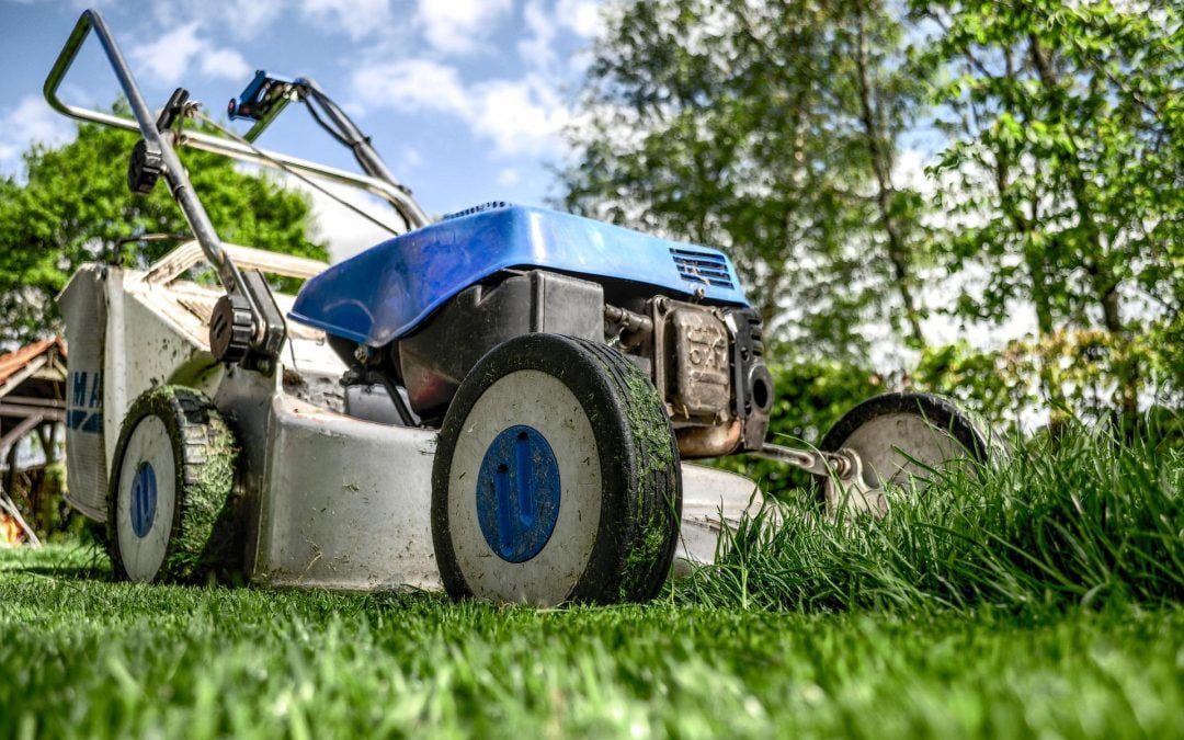 Landscaping: Giving Your Property Perfect Soil Stabilization