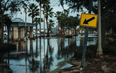 7 Ways to Protect Your Property From Flood Damage